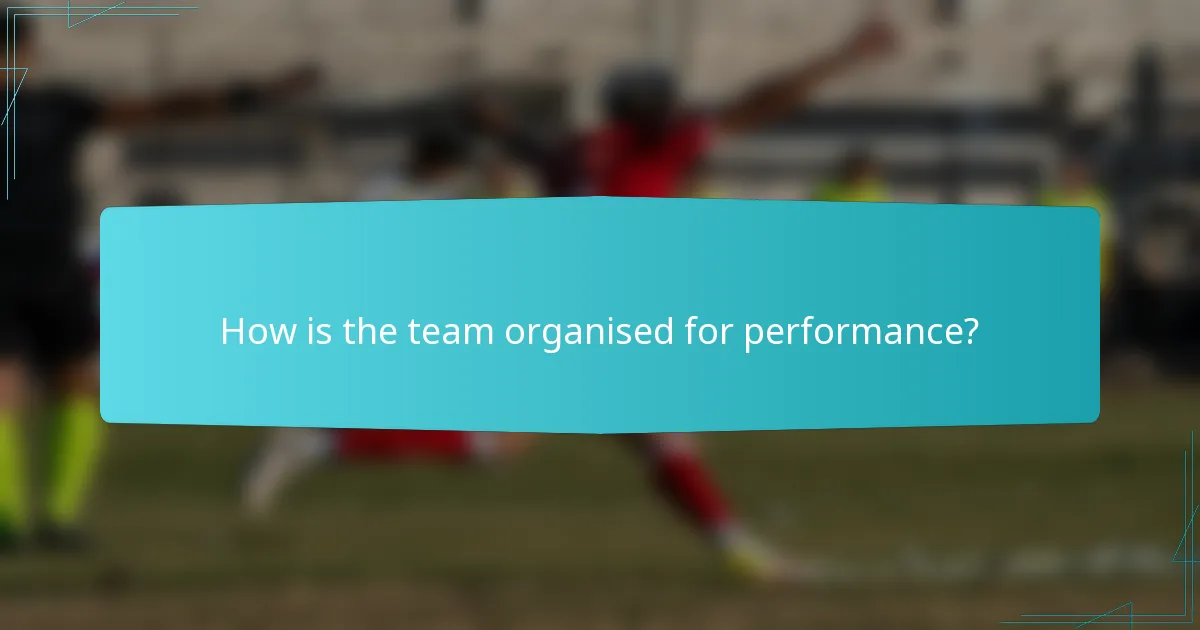 How is the team organised for performance?